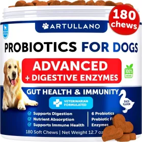 Probiotics For Dogs Support Gut Health Itchy Skin Allergies Immunity Yeast Balance Dog Probiotics And Digestive Enzymes With Prebiotics Reduce Di (Option: Artullano)